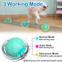 Waaiio Interactive Cat Toys for Indoor Cats,Automatic Moving Cat Ball in Pouch,Chirping Stimulation,Hide-n-Seek Chase Exercise Game,Motion Activate,Rechargeable Kitten Toys