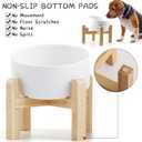 Petygooing White Raised/Elevated 15Slanted Ceramic Dog Bowl for Small Breeds,Tilted Anti Slip Pet Feeding Bowl,Food Water Dish with Stand for Cats and Small Dogs Puppy 13.5 OZ (5.1In / 1.7 Cups)
