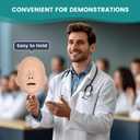 Airway Management Trainer, Intubation Manikin, Adult