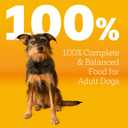 Pedigree Adult Dry Dog Food, Complete Nutrition, Roasted Chicken & Vegetable Flavor, 3.5 lb. Bag (EXP 12/12/26)