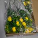 Tigeen 12 Pack Lemon for Decoration Fake Lemon Branches Artificial Vivid Yellow Faux Lemons Tables Centerpiece for Kitchen Stem Fruits for Home Spring Summer Decor