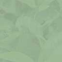 Davidson's Organics, Irish Breakfast, 100-count Unwrapped Tea Bags (EXP 08/06/27)