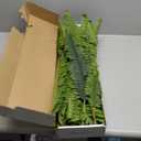 35" Ferns Artificial Bush Plants Large, 2 Artificial Boston Ferns with 39 Fronds for Outdoors Home Decor