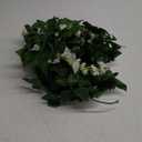 2 Packs Artificial Eucalyptus with Flowers,Fake Garland for Wedding, Faux Greenery Garland Vines Table Runner,Summer Floral Decorations for Hanging,Wedding Backdrop,Indoor, Green