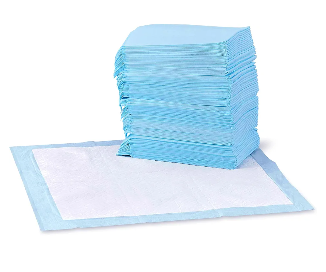 Amazon Basics Leak-Proof Dog and Puppy Potty Training Pee Pads with Quick-Dry 5-Layer Super Absorbent Design, Regular Size 22 x 22 inch, Blue & White, 100 Count