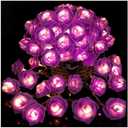ZHBDMGK Rose Flower String Lights, 20 LED Battery Operated Romantic Purple Rose Lights, 10Ft Artificial Flowers Garland Led Lights for Valentine's Day Wedding Indoor Outdoor Festival Party Decor