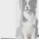 TonGass (2-Pack) Clear Dog Door Flap Replacement Extra Large Compatible with Ideal Pet Products Ruff Weather Dog Doors Model DSRWXL - 15" x 24" Pet Door Flap - Fit for Extra Large Pets (up to 120 lbs)