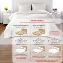 Queen Quilt Set 90"x90" Soft Washed Lightweight Bedspread with Multi-Lock Quilting, Minimalist Nordic Bedding, All-Season Quilt for Spring, Summer & Fall (1 Quilt + 2 Pillow Shams), Cream White