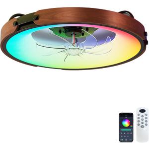 20 Inch RGB Ceiling Fan with Light, 30dB Ultra Quiet Low Profile Flush Mount Fandelier, Black Bladeless Ceiling Fans with Remote, Fits 8ft Low Ceilings for Bedroom Living Room Kitchen