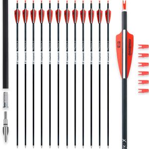 31Inch Carbon Arrows for Target Practice Hunting Arrow with Removable Tips for Compound & Recurve Bow(Pack of 12)