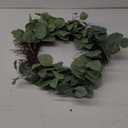 Rustic Country Artificial Eucalyptus Leaves and Twig Wreath, Year Round Full Green Wreath for Indoor or Outdoor Display, 14-Inch