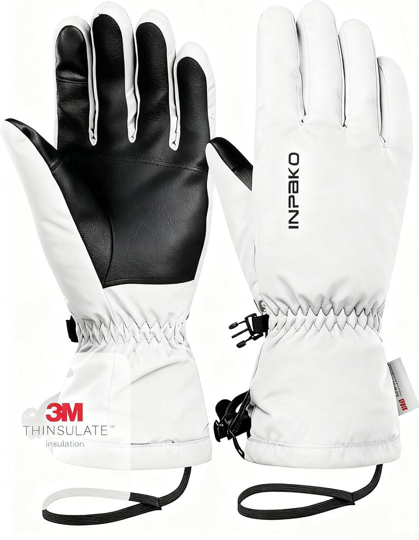 Ski Gloves Men & Women Waterproof 3M Thinsulate Winter Touchscreen Snow Gloves for Snowboard