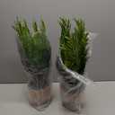 2 Pack Artificial Fern Plants in Pots Artificial Boston Ferns Potted Plants Faux Fern Bush Plant Shrubs Greenery for Outdoor Indoor Porch Patio Farmhouse Garden Living Room Office Table Decor (Type 3)