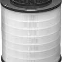 Clorox Medium Room Air Purifier True HEPA Replacement Filter, 1,000 Sq. Ft. Capacity, Removes 99.97% of Allergens up to 0.1 Micron, Compatible with 11030 & 11031, 1 Count (12030)
