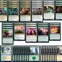 Elite Selesnya Citizen Deck - Green White - Very Powerful - Modern Legal - Custom Built - Magic The Gathering - MTG - 60 Card!
