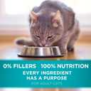 Purina ONE Natural Dry Cat Food, Tender Selects Blend With Real Salmon - 7 lb. Bag