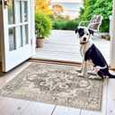 YOUFORTONG Washable 2x3 Area Rugs: Rugs for Living Room Ultra Soft Carpet for Bedroom Waterproof Rug Non Slip Rugs for Hardwood Floors (Beige, 2x3)