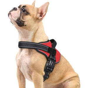 rabbitgoo Dog Harness Small Sized, No Pull No Choke Pet Vest, Easy Wearing with One Buckle, Reflective, Adjustable Pet Harness with Molle for Walking, Training, Red, S