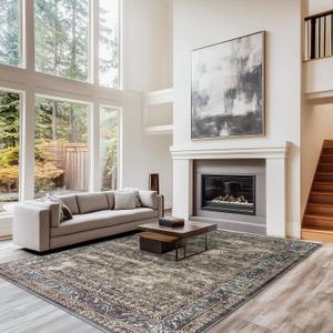 LAISE 8x10 Ft Area Rug Brown Boho Indoor Rug, Low Pile, Machine Washable, Non-Slip, for Living Room, Bedroom, Dining Room