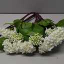 DILATATA Faux Hydrangea Flowers 24" White Artificial Hydrangea Spray with 3 Flower Heads, 5 Per Bag.Faux Hydrangeas Plastic Flowers Fake Hydrangeas for Indoor Outdoor Wedding Table Centerpieces Decor