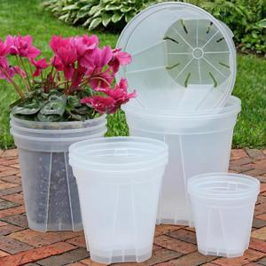 6/8/10/12 Inch Large Clear Nursery Pots 12 Pack, Large Clear deep planter Plastic Plant Pots with Drainage for Bulbs & Orchids, Ideal for Hyacinths, Tulips, Amaryllis, Indoor Outdoor Deep Pots