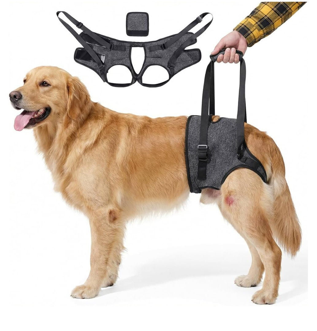 Dog Lift Harness for Back Legs–Sturdy Dog Support Sling–Hip Sling Carrier for Large Medium Canine, Stair Helper for Aid Old Ligament Rehabilitation Pet, Grey, Size: XL