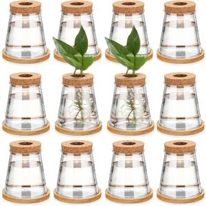 Baderke 12 Packs Plastic Desktop Vase with Hole Lid and Bamboo Stand Plant Propagation Stations Plant Growing in Water Hydroponic Home Office Table Decoration (Fresh Style)