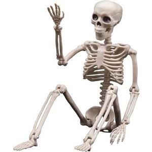 3 Parts Skeleton With Halloween Pumpkin Hat and Spider 3 Parts Skeleton With Halloween Pumpkin Hat and Spider