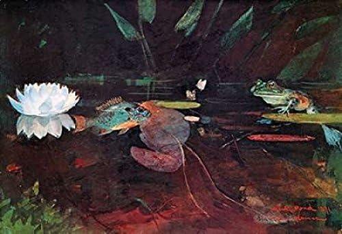 Posterazzi The Mink Pond Poster Print by Winslow Homer, (20 x 28)