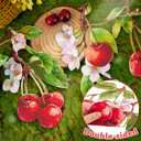 Cherry Decor Cherry Garland Party Decoration Hanging Decoration Cherries Birthday Garlands for Birthday Wedding Baby Shower Christmas Home Decor