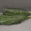 FOREST PRINCE 35" Fake Ferns Artificial Bush Plants for Outdoors, 2-Pack
