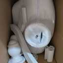 FDW | Female Mannequin Torso | Beige | with 7" Height Adjustment, 60-67 Inches