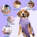 Dog Recovery Suit, Surgical Recovery Suit for Male Female Dogs Cats Spayed Onesie After Surgery, Dog Post Surgery Suit Anti Licking & Biting Surgical Shirt with Pee HolePurple Large (Large(Back:17.5"-20.0";Chest:21.3"-25.6"))