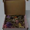 VAIPI 10 Pack Dried Flower Bouquets Various Dried Flower Combinations with Stem Mini Dried Embossing Natural Flower Bundles Artificial Flower Dried Floral Arrangement for Vase DIY Wedding Decor