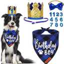 ADOGGYGO Dog Birthday Party Supplies, Blue Plaid Birthday Boy Dog Bandana, Golden Pet Party Hat with Numbers, Bowtie for Medium Large Pets (Large)
