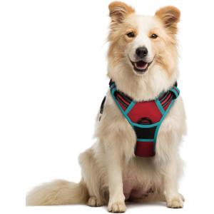 rabbitgoo Dog Harness No Pull with 2 Leash Clips, Adjustable Soft Padded, Reflective Oxford No Choke Pet Vest with Easy Control Handle for Medium Sized Dogs, Red & Teal, M