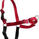 PetSafe Easy Walk Harness for Dogs - Pull-Free Walks - Patented Martingale Loop Design - Front Chest Leash Attachment - Comfort Straps - Breathable Harness Design - Small, Red/Black