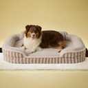 LE SURE Cute Dog Beds Large Sized Dog, Orthopedic Waterproof Large Pet Bed with Sides, High Back Non-Slip Bottom and Egg-Crate Foam Pet Couch Sofa with Washable Removable Cover, Hazel (35.0"l X 25.0"w X 7"th)