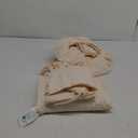 Full Size 4 Piece Sheet Set - Comfy Breathable & Cooling Bed Sheets Set - Hotel Luxury Bedding for Women, Men, Kids, Teens, Boys & Girls - Deep Pockets, Ultra-Soft, Wrinkle Free - Oeko-Tex 