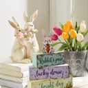 Spring Easter Dec Bunny Wooden Tabletop Decor with Rabbit’s Paw/Luck Draw/Bright Day Signs, Spring Farmhouse Spring Table Decorations for Home Indoor, Green Purple Beige Wood Blocks Set of 4