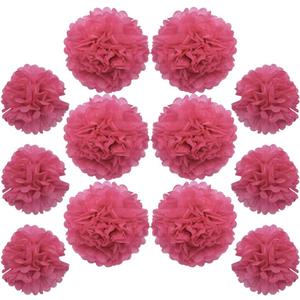 Ruidee 12 Pieces Tissue Paper Pompoms 10in and 12in Hanging Tissue Flowers Decorations Colour Paper Flower Ball for Party Wedding Decoration (ZH/Rose)