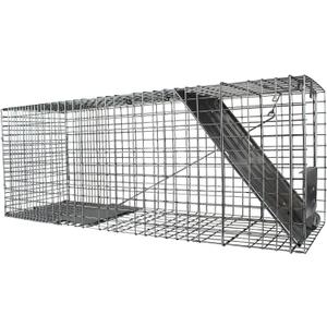 HAVAHART 1079SR Large 1-Door Humane Catch and Release Live Animal Trap Cage - Live Raccoon Trap, for Bobcats, Beavers, Dogs, & More