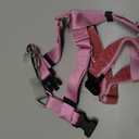 2 Hounds Design Freedom No Pull Dog Harness, Adjustable Harness, Easy Walking & Comfortable Control, Fits Small, Medium & Large Dogs, Solid Colors, Made in USA, 1" LG, Rose