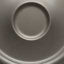 Ekena Millwork CM24TRWSS 24-3/8" x 1-1/2" Traditional Ceiling Medallion, Warm Silver