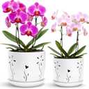 2 Pack, 5 + 6 Inch White Orchid Pots with Holes and Saucer, Ceramic Orchid Planters for Repotting with Drainage Holes and Tray, Plant Flower Pot containers for Orchid Indoor Outdoor