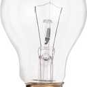 Satco S3940 25 Watt 170 Lumens A19 Incandescent Soft White 2700K Clear Light Bulb, 2-Pack