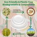 Aricsen 100 Pack 10 Inch Compostable Disposable Round Paper Plates, Natural White Biodegradable Sugarcane Bagasse PFAS-Free Eco-Friendly Dinner Plates for Party Wedding Picnic BBQ (100, 10 INCH)