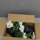 2 Pack Artificial Geranium Flowers Small 13 Inch Faux Flowers Spring Summer Decoration Fake Flowers for Home Office Table Decorations Indoor (White)