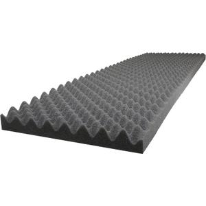 Case Club Customizable Polyethylene/Polyurethane/Convoluted Foam 54 x 16 Inches