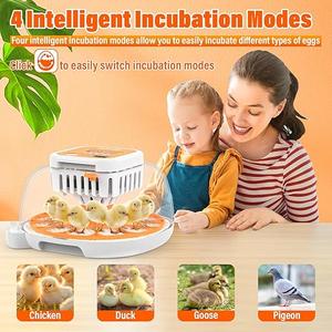 ONKO 12 Egg Incubator with Auto Temp & Humidity Control for Home, Farm, Classroom, Auto Egg Turner & Stop, External Water Refill, Air Vent, 360 Clear View, Hatching Chicken, Duck, Goose, Pigeon Eggs